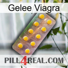 Jelly Viagra new11